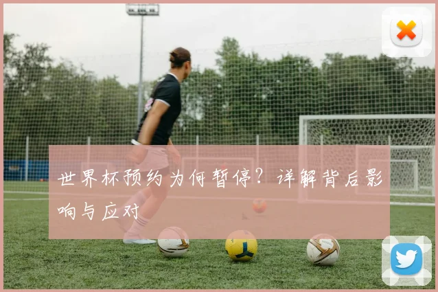 世界杯预约为何暂停?详解背后影响与应对