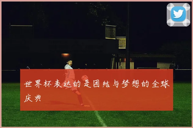 世界杯表达的是团结与梦想的全球庆典